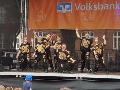 2017_Alstadtfest-Fallersleben (21).jpg